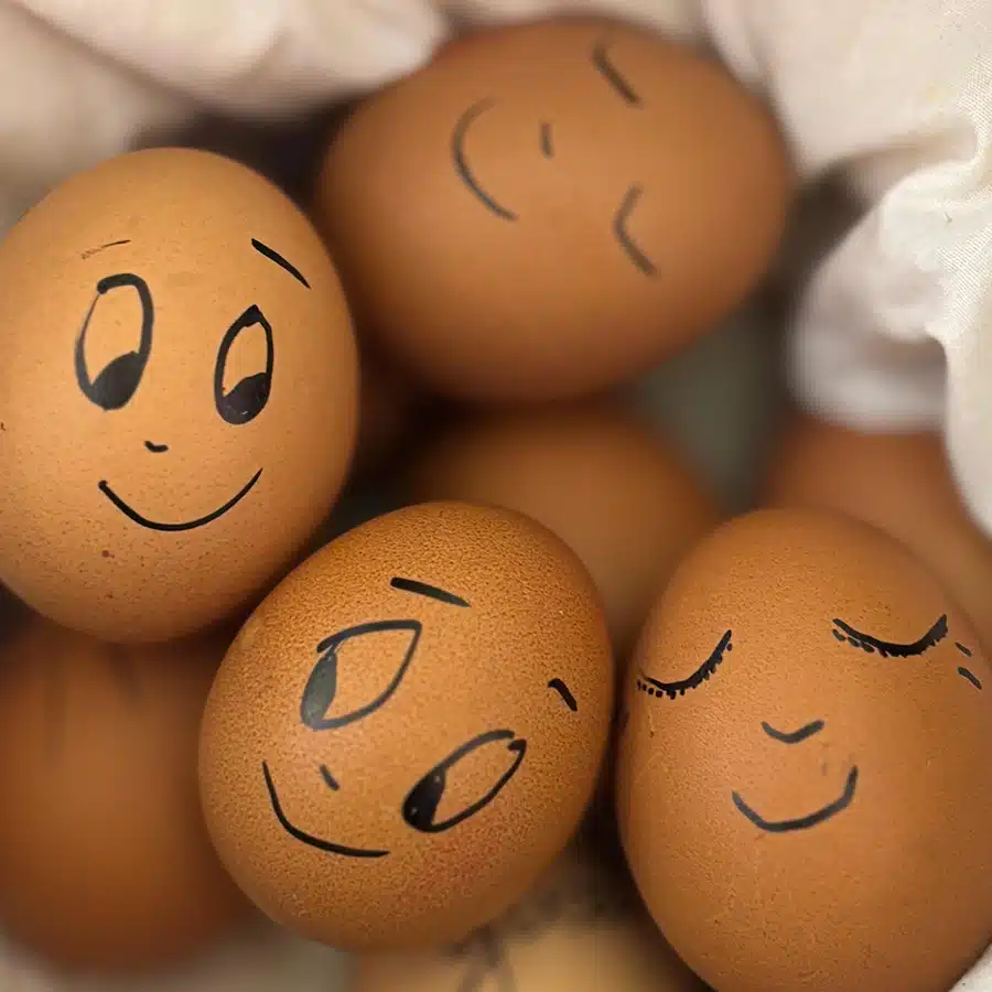 Eier für das Frühstück in der Genusszeit